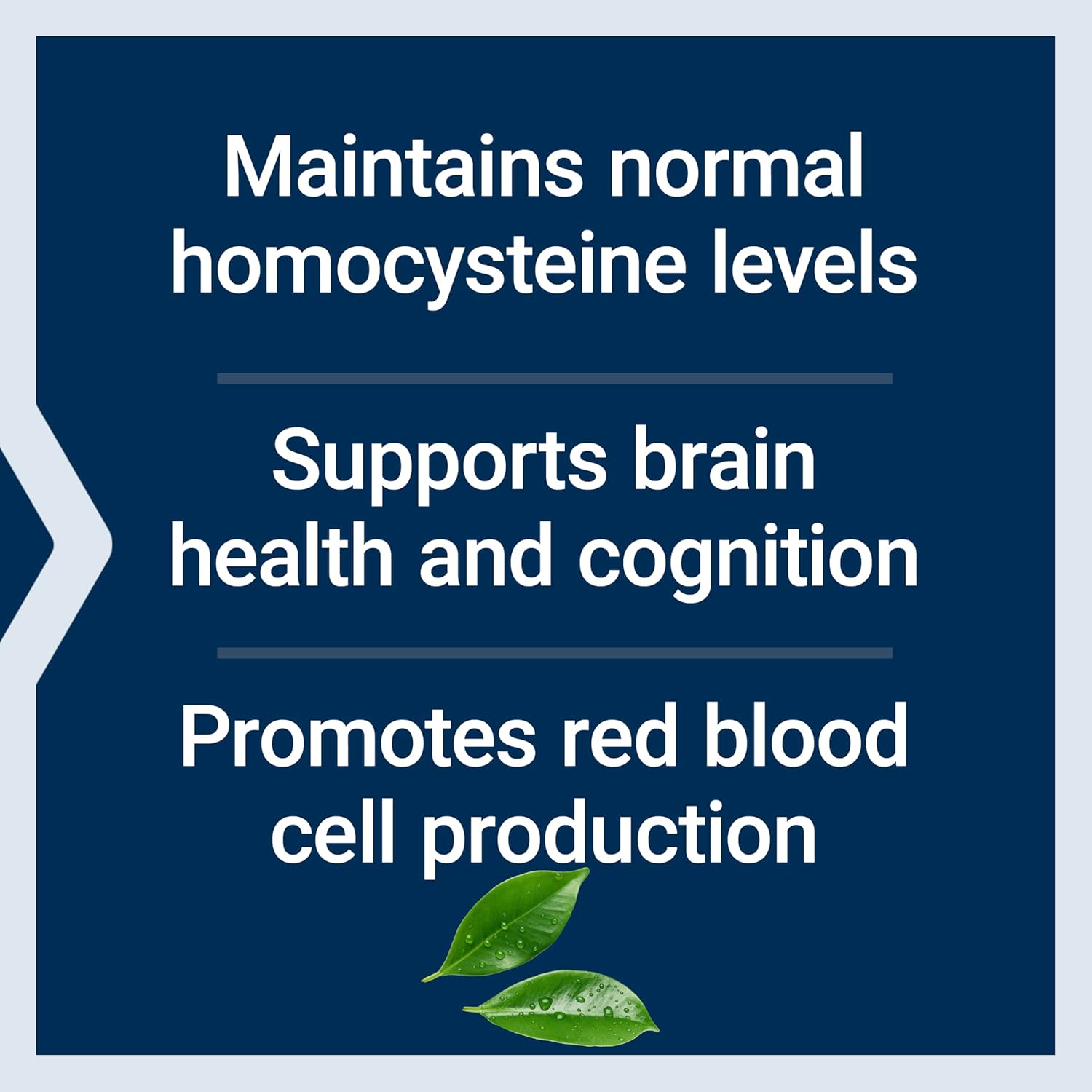 Suplemento Vitamina B12 Metilcobalamina Life Extension 500 Mcg 100C - Imagen 4