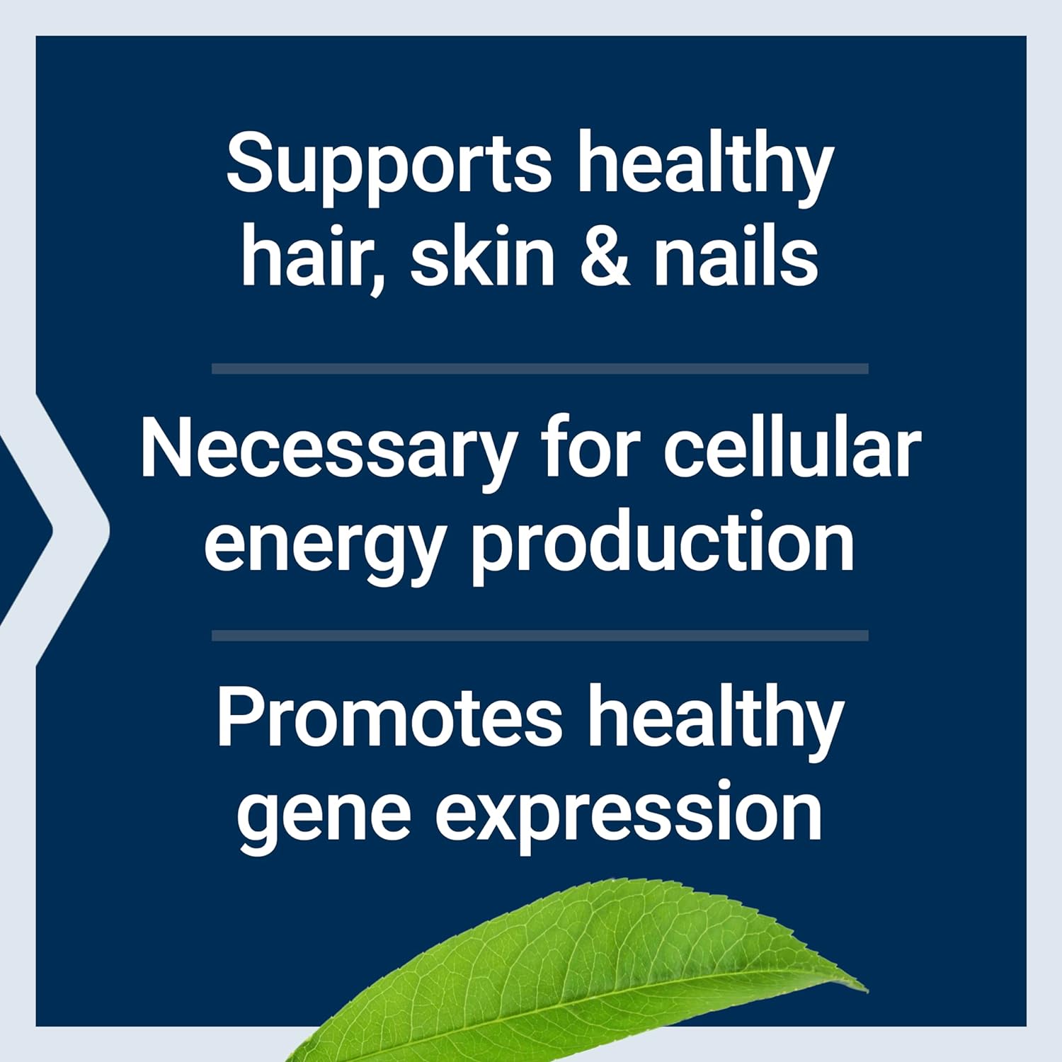 Suplemento Biotin Vitamina B7 Life Extension 600 Mcg 100C - Imagen 4