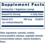 Suplemento Vitamina B12 Metilcobalamina Life Extension 500 Mcg 100C – Biogate Argentina
