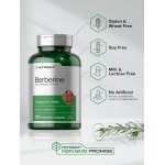 Berberina HCL Extracto de Agracejo 500 Mg 120 Capsulas Horbaach – Biogate Argentina