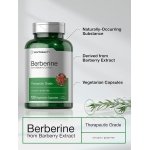 Berberina HCL Extracto de Agracejo 500 Mg 120 Capsulas Horbaach – Biogate Argentina