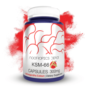 KSM-66 Cápsulas de Ashwagandha 300 mg 90 unidades Nootropics Depot