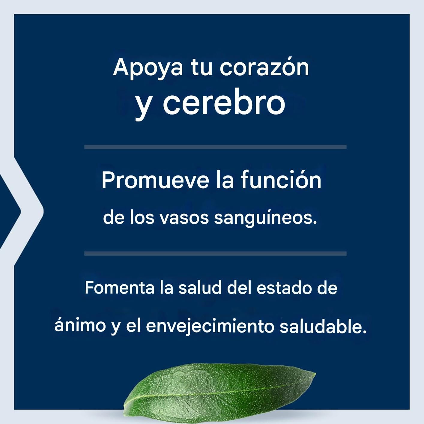 Super Omega-3 EPA/DHA 240 Tabletas Life Extension – Biogate Argentina
