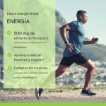 Potenciador de Testosterona con Fenogreco Liposomal 500 mg 30 capsulas – Biogate Argentina