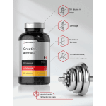 Monohidrato de Creatina alemana 5000 mg 250 cápsulas Horbaach – Biogate Argentina