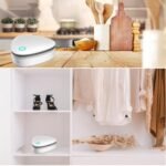 Generador De Ozono Portátil Purificador Aire Y Elimina Olor – Biogate Argentina