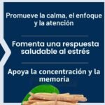 Ashwagandha Plus Calm & Focus 60 Capsulas Life Extension – Biogate Argentina